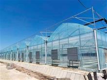 柔性日光温室