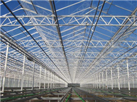 连栋大棚-连体薄膜大棚-连栋温室