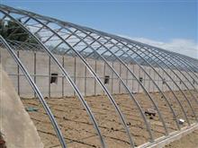 圆管插地棚-椭圆管大棚