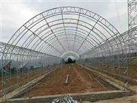 河北温室大棚-双膜双拱温室大棚