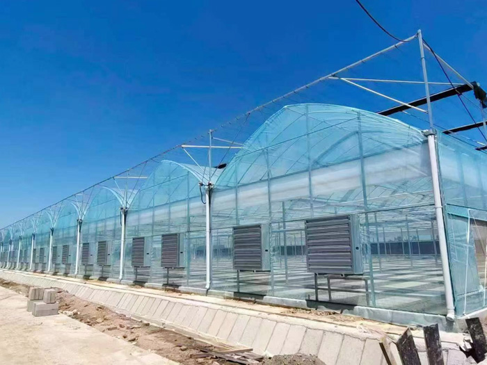 <strong>柔性日光温室</strong>